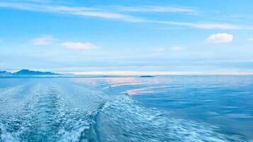 House | Miscellaneous