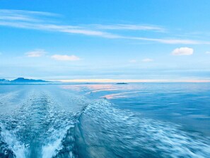 House | Miscellaneous - 6 Person Holiday Home in Alsvag-by Traum (Oksnes)