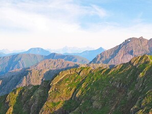 House | Miscellaneous