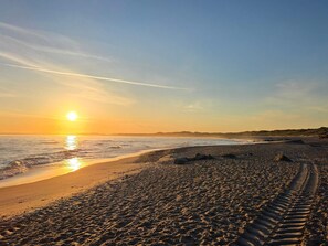 A beach with a visible path leading to the water, a clear sky, and the sun setting or rising.