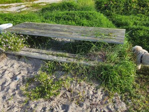 A wooden bench in a natural setting with a dog nearby. - Cozy Holiday Home in SÃ¦by near Sea (Sæby)