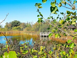 Apartment | Miscellaneous