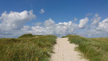 A sandy path flanked by grass and yellow flowers, leading into a cloudy sky.