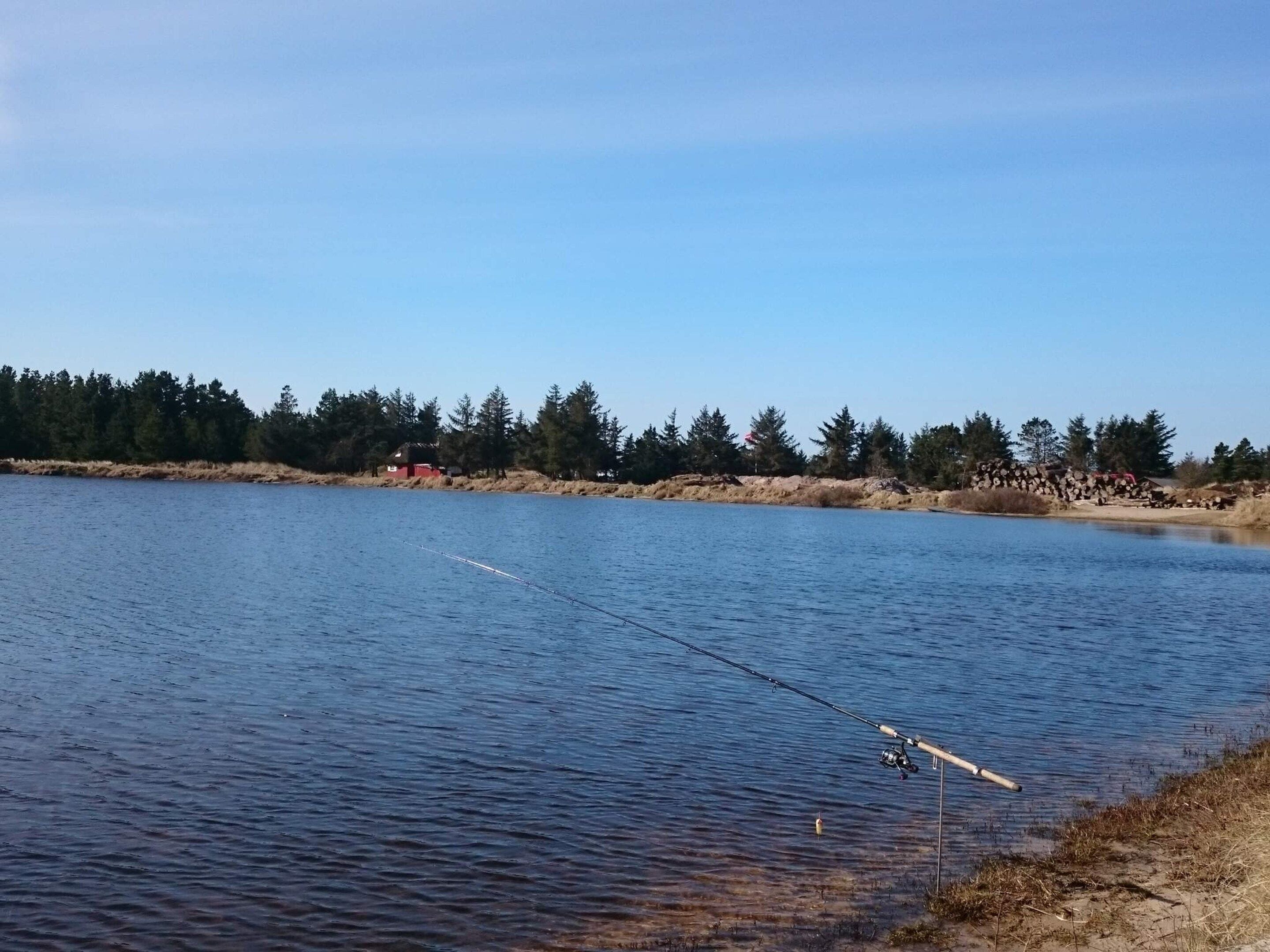 A calm lake with a fishing rod in the foreground, surrounded by a forest and a red building in the distance.