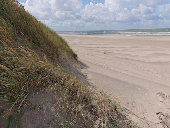 Uma praia com dunas de areia e grama.