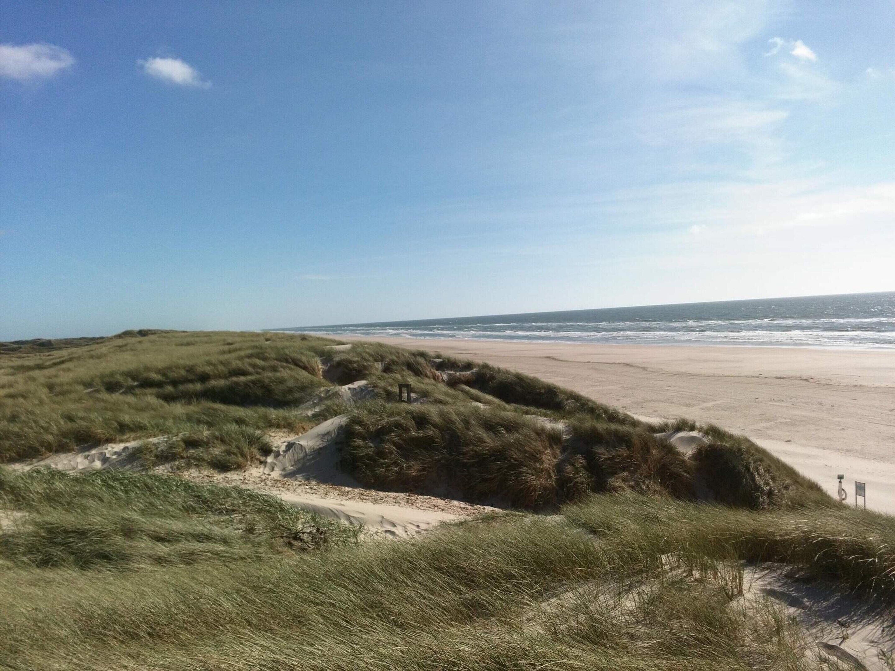 House | Beach