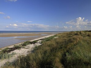 Un paisaje costero con una playa arenosa, dunas cubiertas de hierba y cielo despejado.
