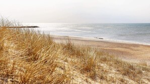 Une plage avec de l’herbe sèche au premier plan et une mer calme à l’arrière-plan.