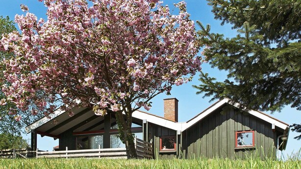 Unclassified image, 1 of 30, button - Spacious Holiday Home in Skjern near Sea (Skjern)