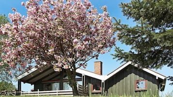 Eksteriør