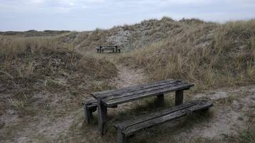 A wooden bench in a sandy area with sparse grass, leading to a dune.