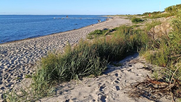 Une plage de sable avec des empreintes, un ciel bleu clair et une mer calme.