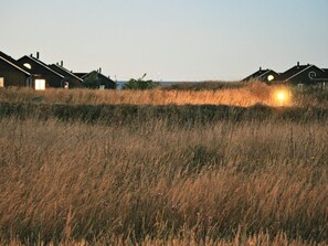 Eine Reihe von Häusern mit einem grünen Rasen im Vordergrund.