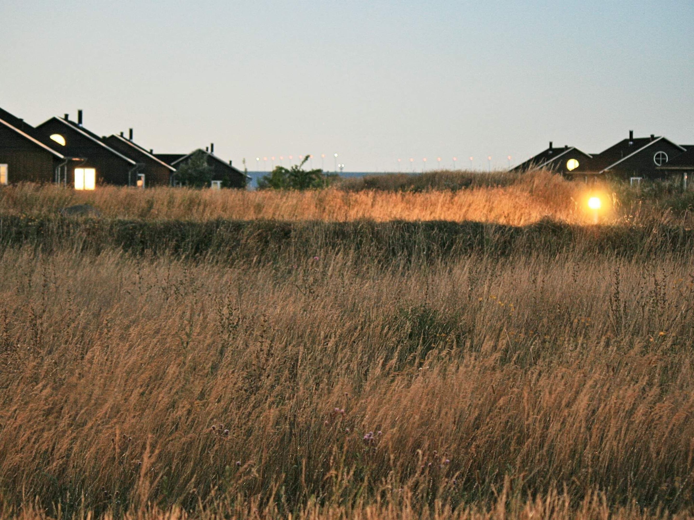 独立别墅 | 水景