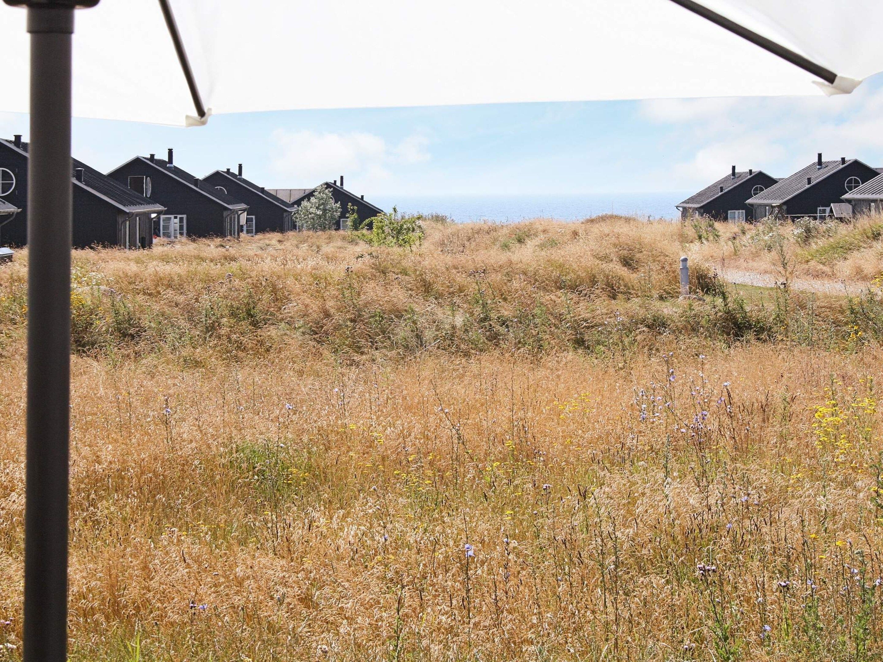 Een woongebied aan de kust, met huizen en een grasveld.