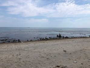 A beach with a sandy shore and scattered rocks. - 6 Person Holiday Home in Dronningmolle (Gilleleje)