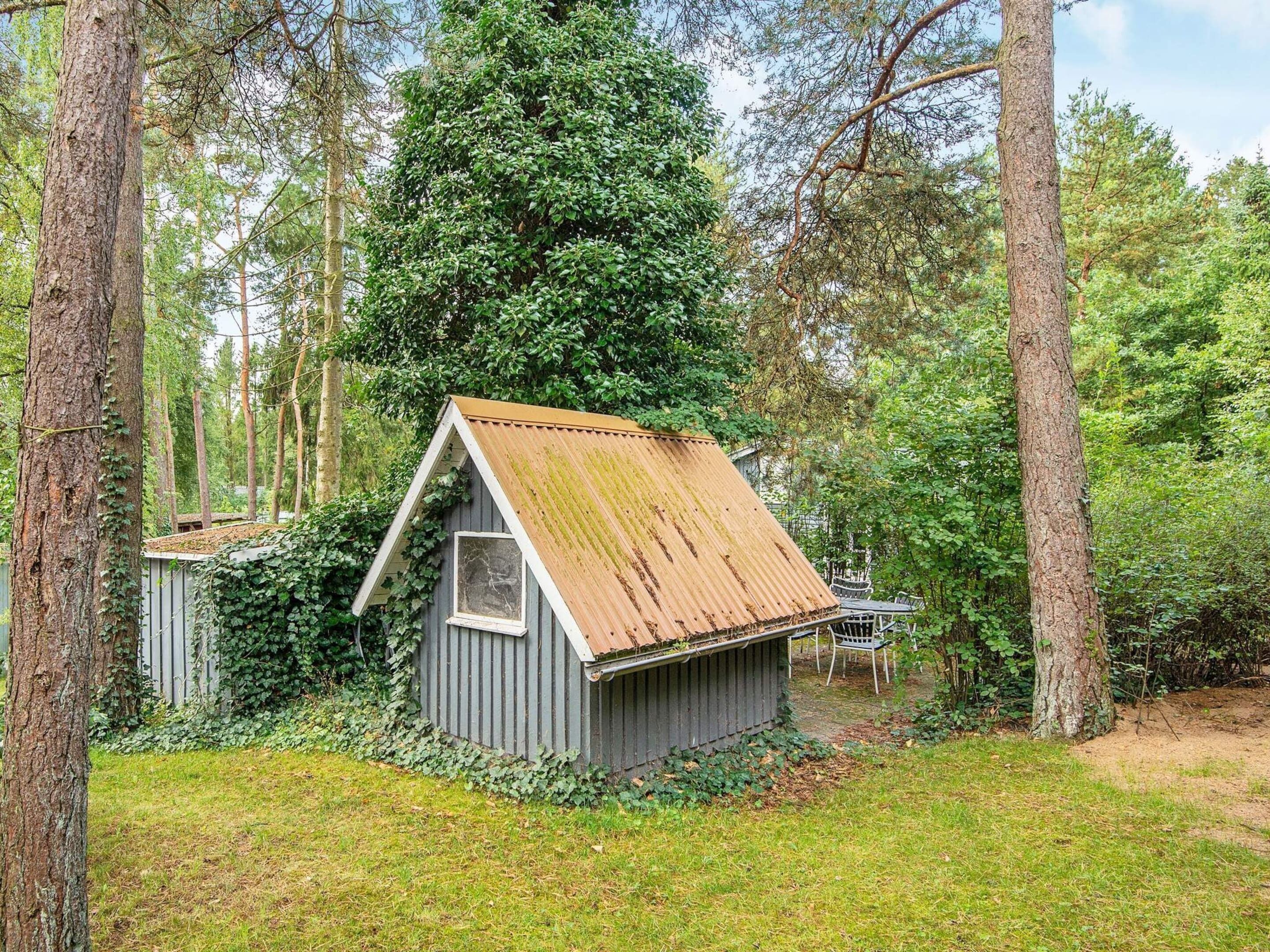 A small, rustic cabin with a sloped roof, surrounded by dense forest.