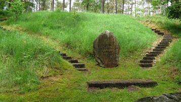 House | Property grounds