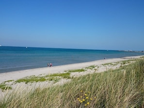 A beach with a clear sky, calm sea, and grassy dunes. - 12 Person Holiday Home in Laeso-by Traum (Læsø)