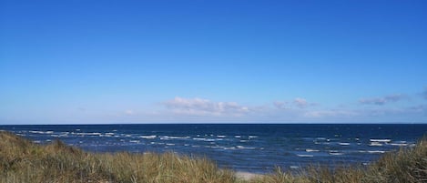 Un paysage côtier avec un ciel dégagé, des vagues océaniques et des dunes herbeuses.
