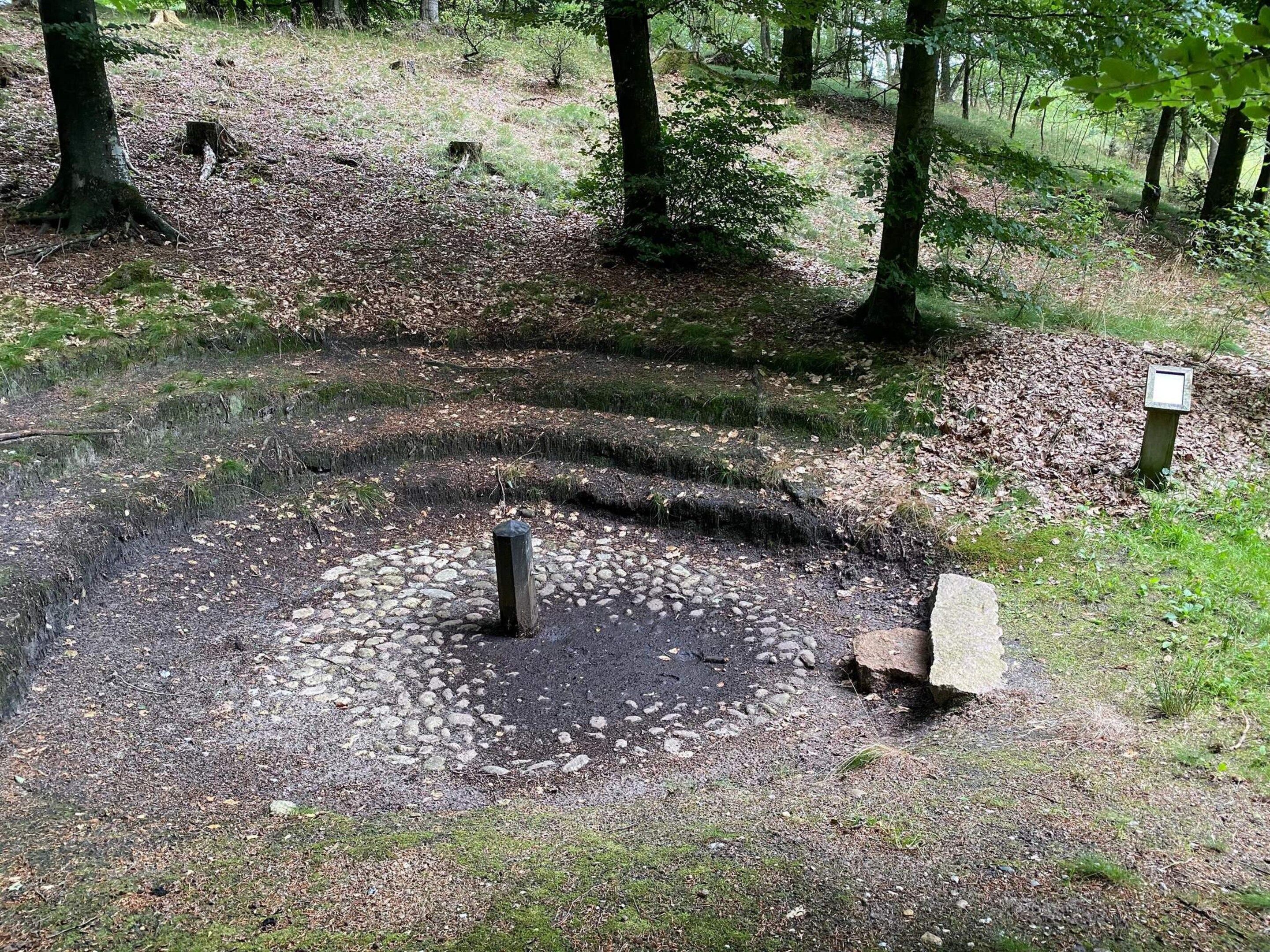 A forested area with a circular stone structure, possibly a well or a pond, surrounded by a gravel path.