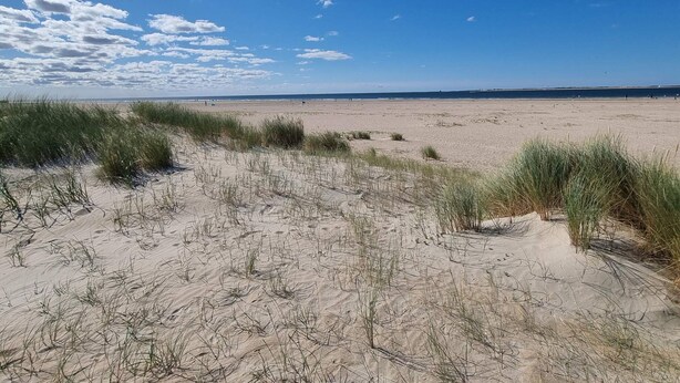 A wide sandy beach with sparse vegetation and a clear blue sky. - Luxury Retreat With Sea View - By Traum Ferienwohnungen (Rømø)