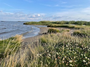 Un paysage cĂŽtier avec une plage de sable, des dunes herbeuses et une Ă©tendue dâeau.