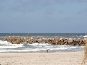 House | View from property