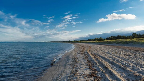 A beach with a clear sky and calm sea. - 4 Star Holiday Home in Vaeggerlose (Vaeggerlose)