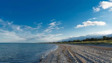 A beach with a clear sky, sandy shore, and a calm sea.