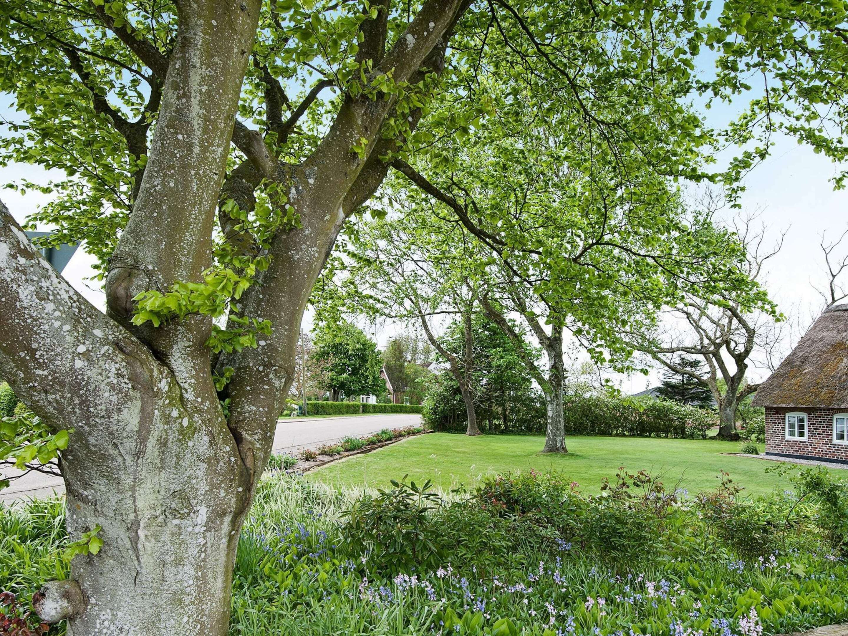 Maison | Vue depuis l’hébergement