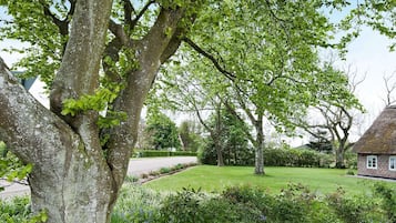 House | View from property