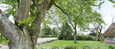 House | View from property