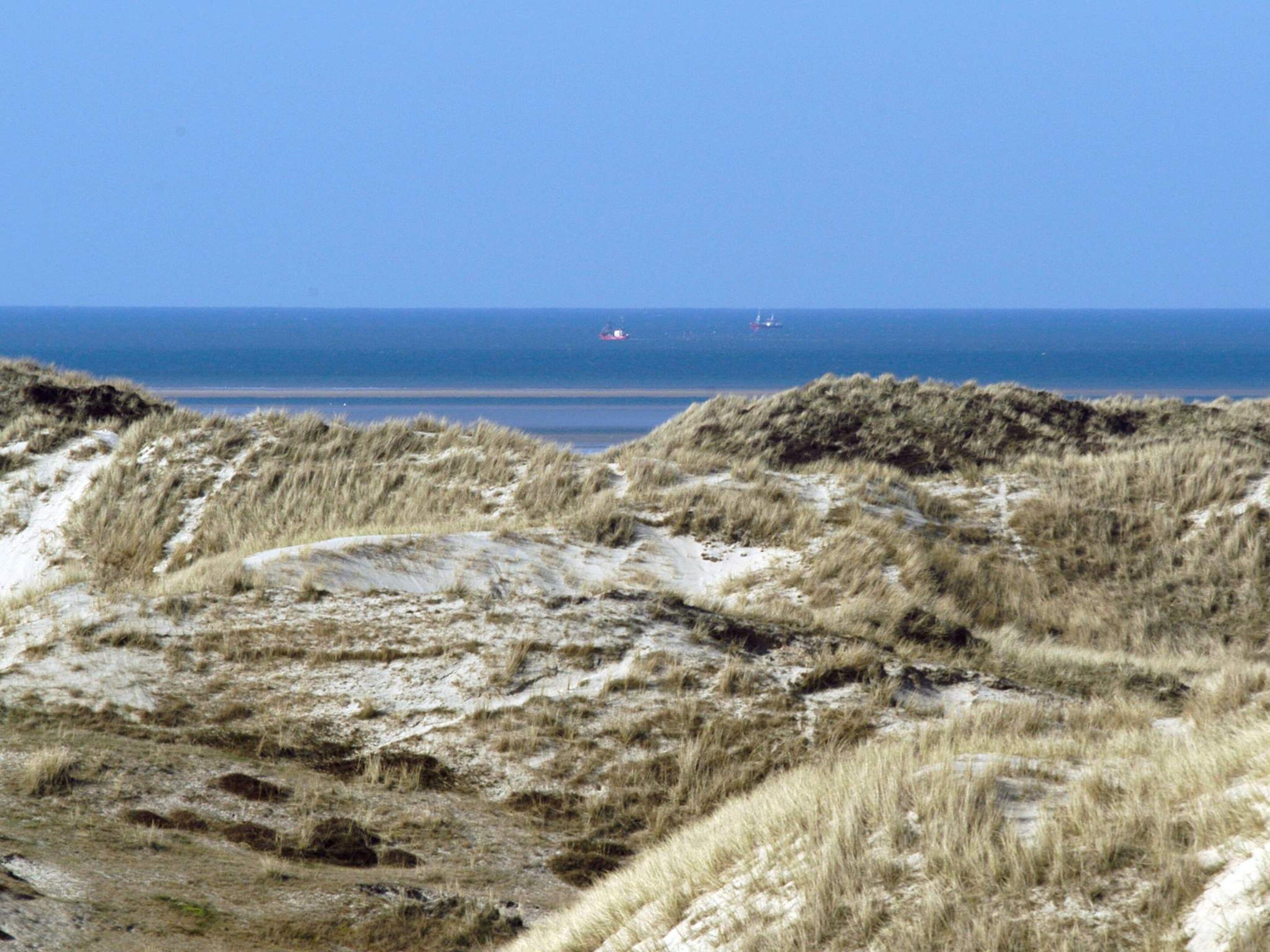 A coastal landscape with dunes and a clear view of the sea.