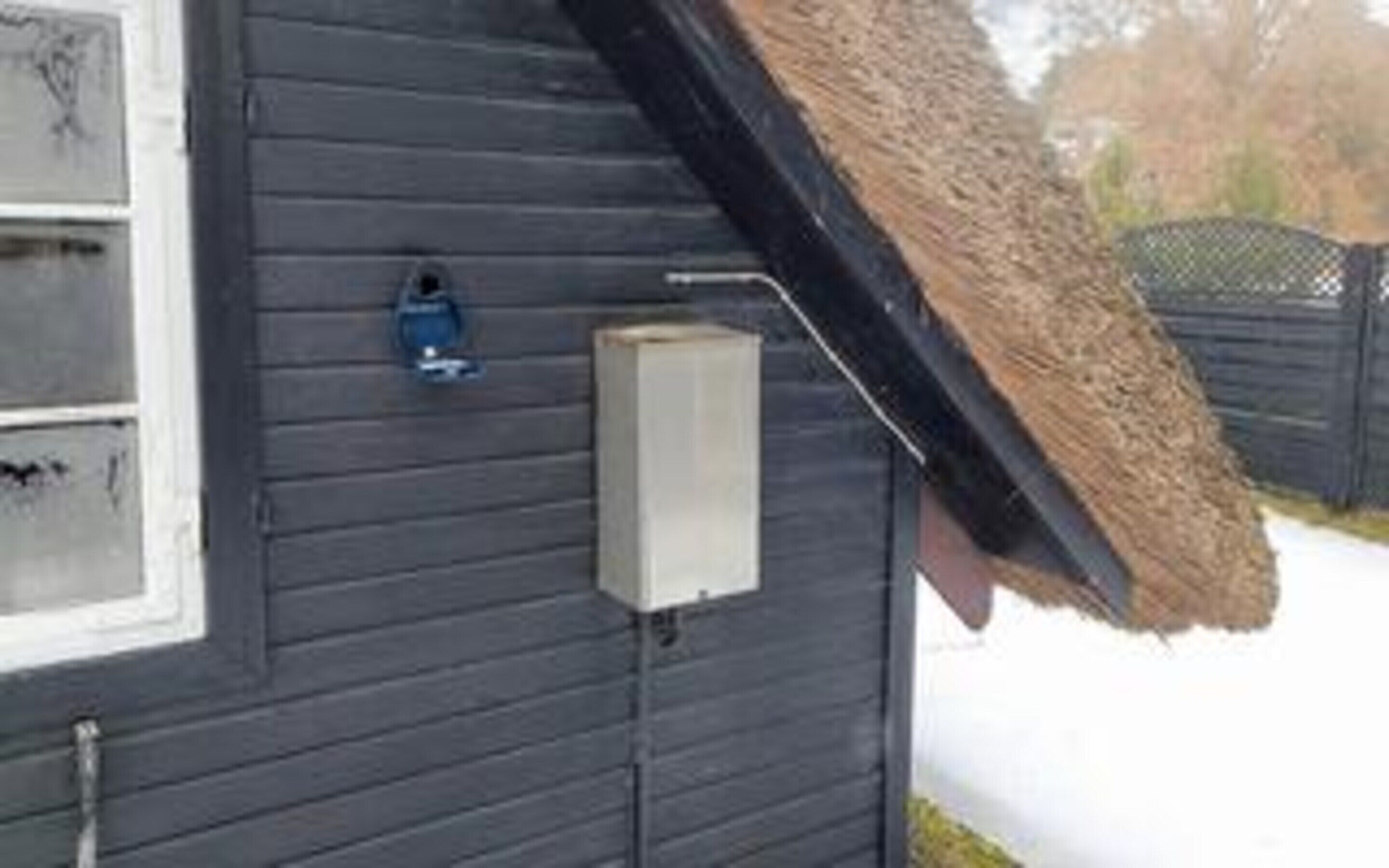A dark wooden exterior wall with a white electrical box and a blue outdoor light fixture.