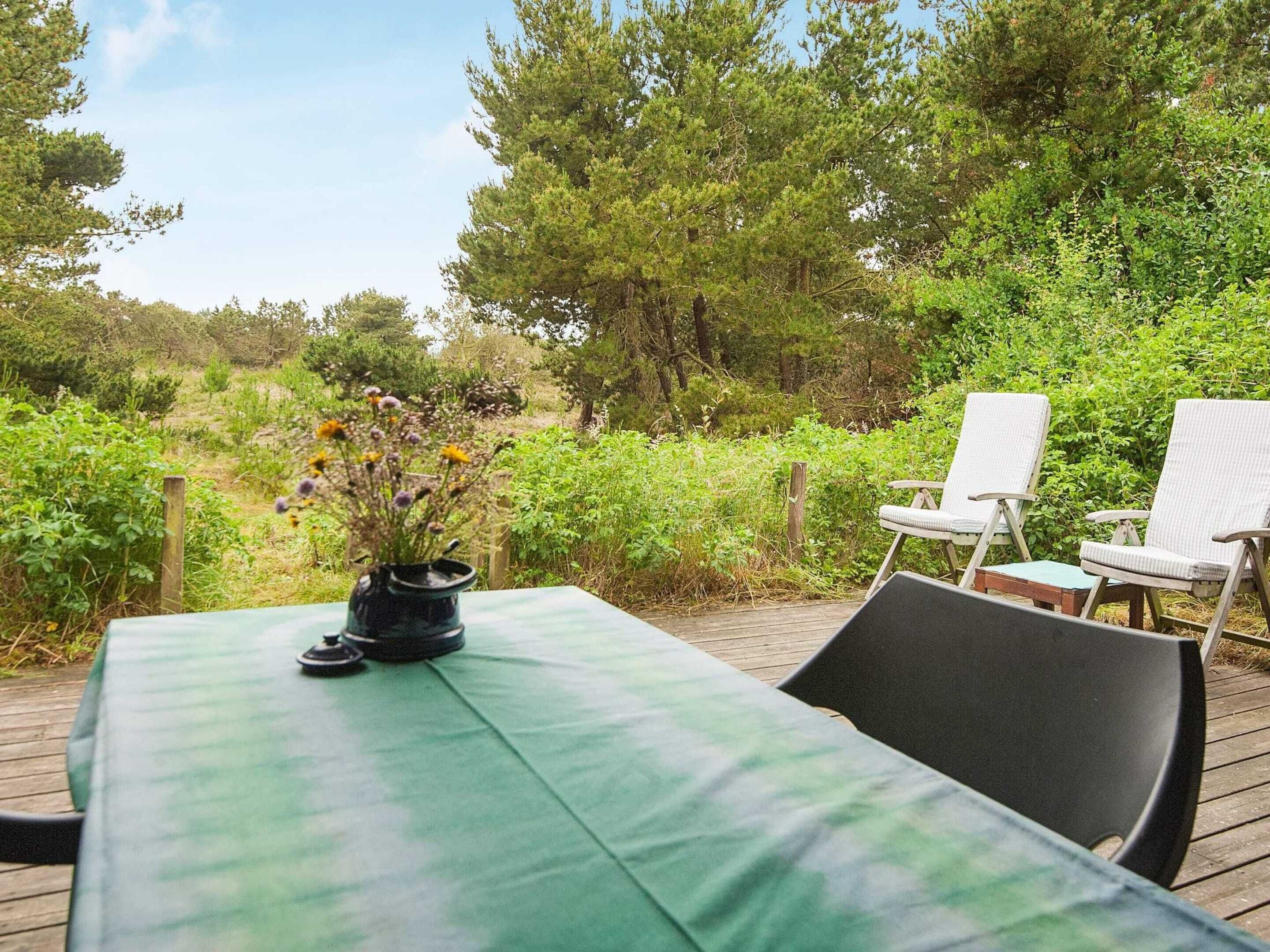 ハウス | 施設からの眺望