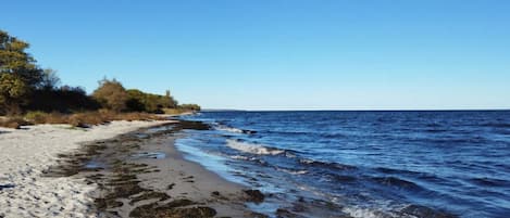 Une plage avec une eau d’un bleu limpide, un rivage sablonneux et quelques plantes.