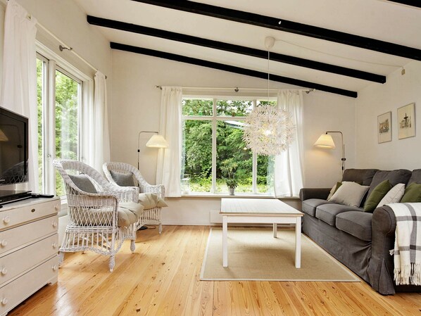 DVD player - Luxurious Holiday Home in Hornbæk Near the Sea (Hornbaek)