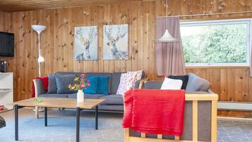 House | Living area