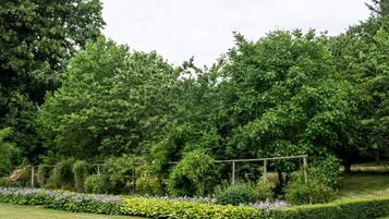 House | Property grounds