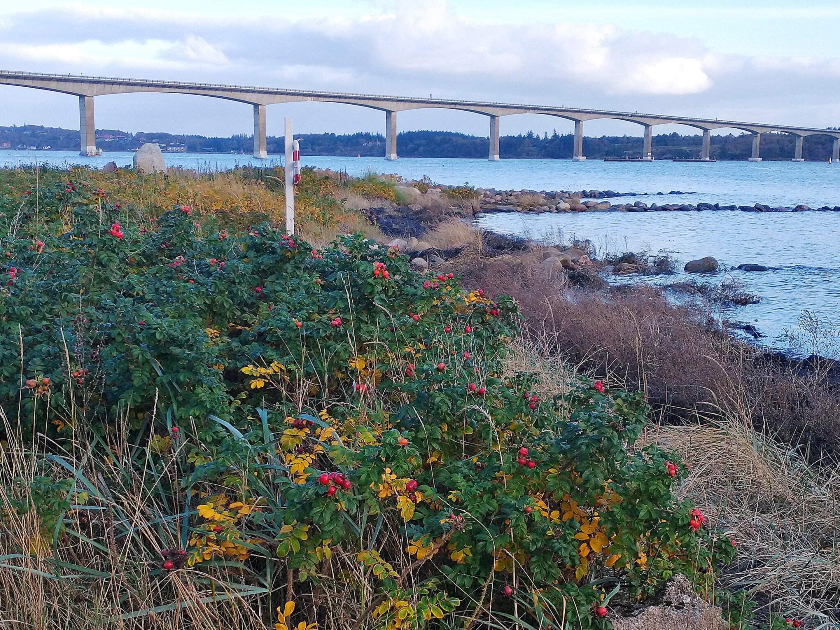 A coastal landscape with a bridge, rocky shore, and dense vegetation.