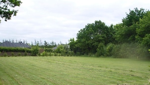 Un campo con hierba, una casa y árboles al fondo.