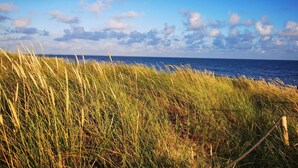 A coastal landscape with tall grasses in the foreground and a clear blue sky with scattered clouds.