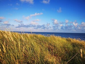 A coastal landscape with tall grasses in the foreground and a clear blue sky with scattered clouds.