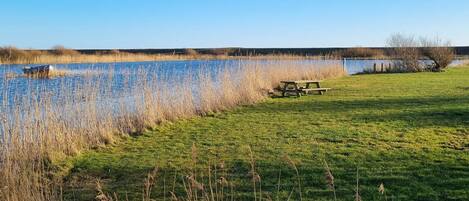 A grassy area with a picnic table and a body of water.