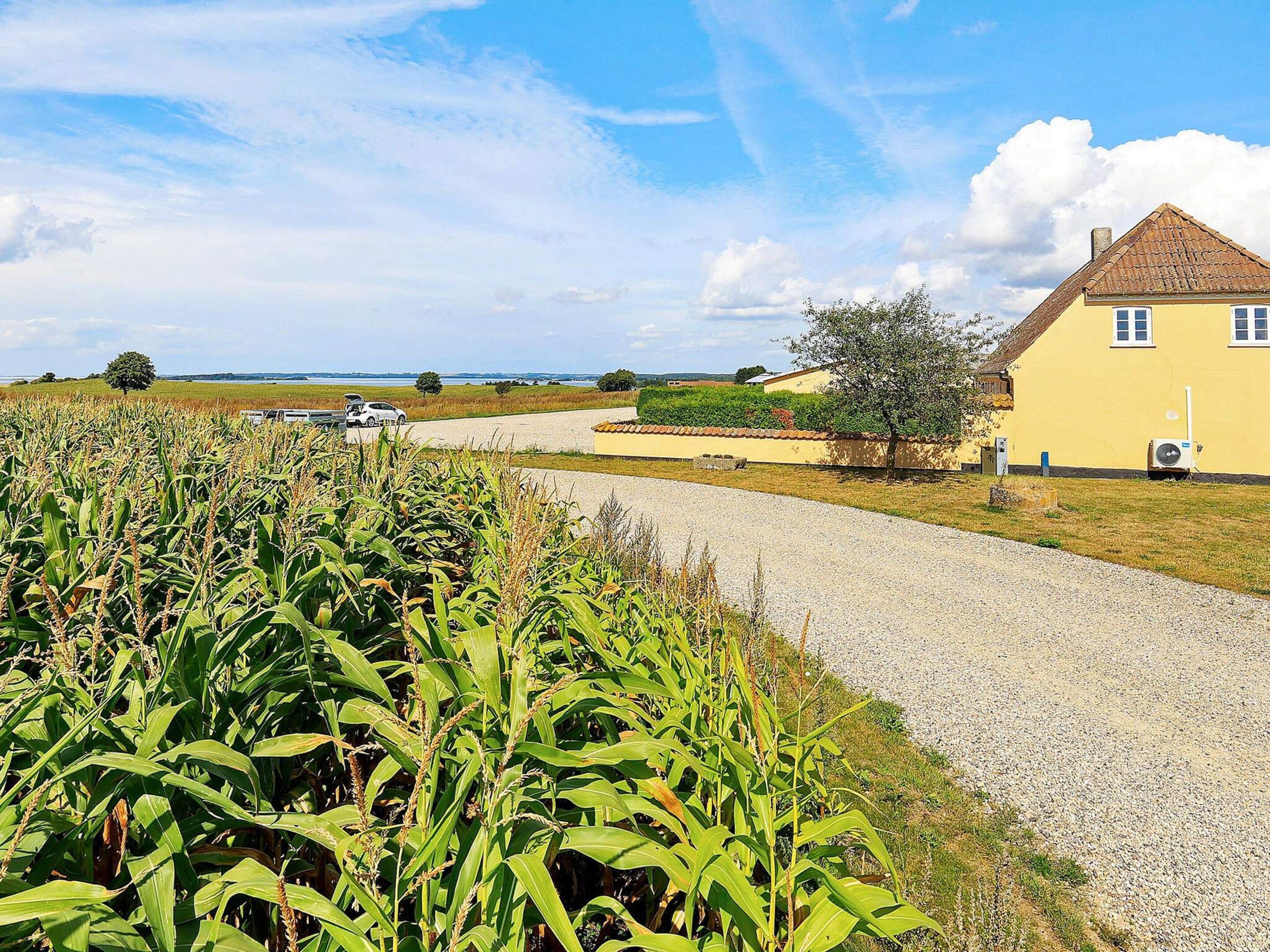 Een landelijk landschap met een grindpad dat naar een geel huis met pannendak leidt.