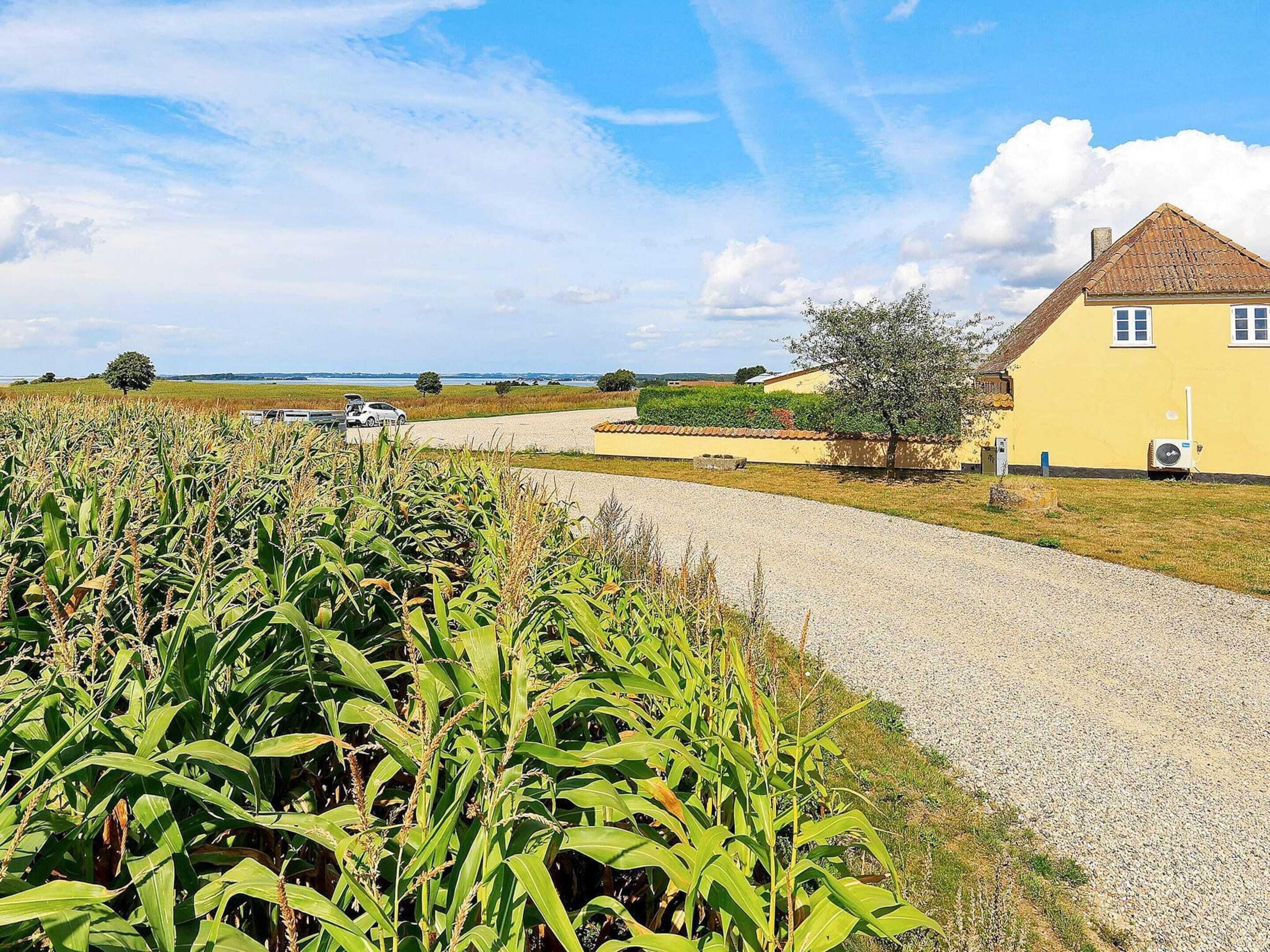 Huoneisto | Ulkoalueet