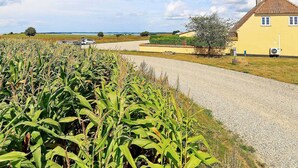 A yellow house with a gravel driveway, surrounded by a cornfield and a clear sky. - Contemporary Apartment in Faaborg near Sea (Faaborg)