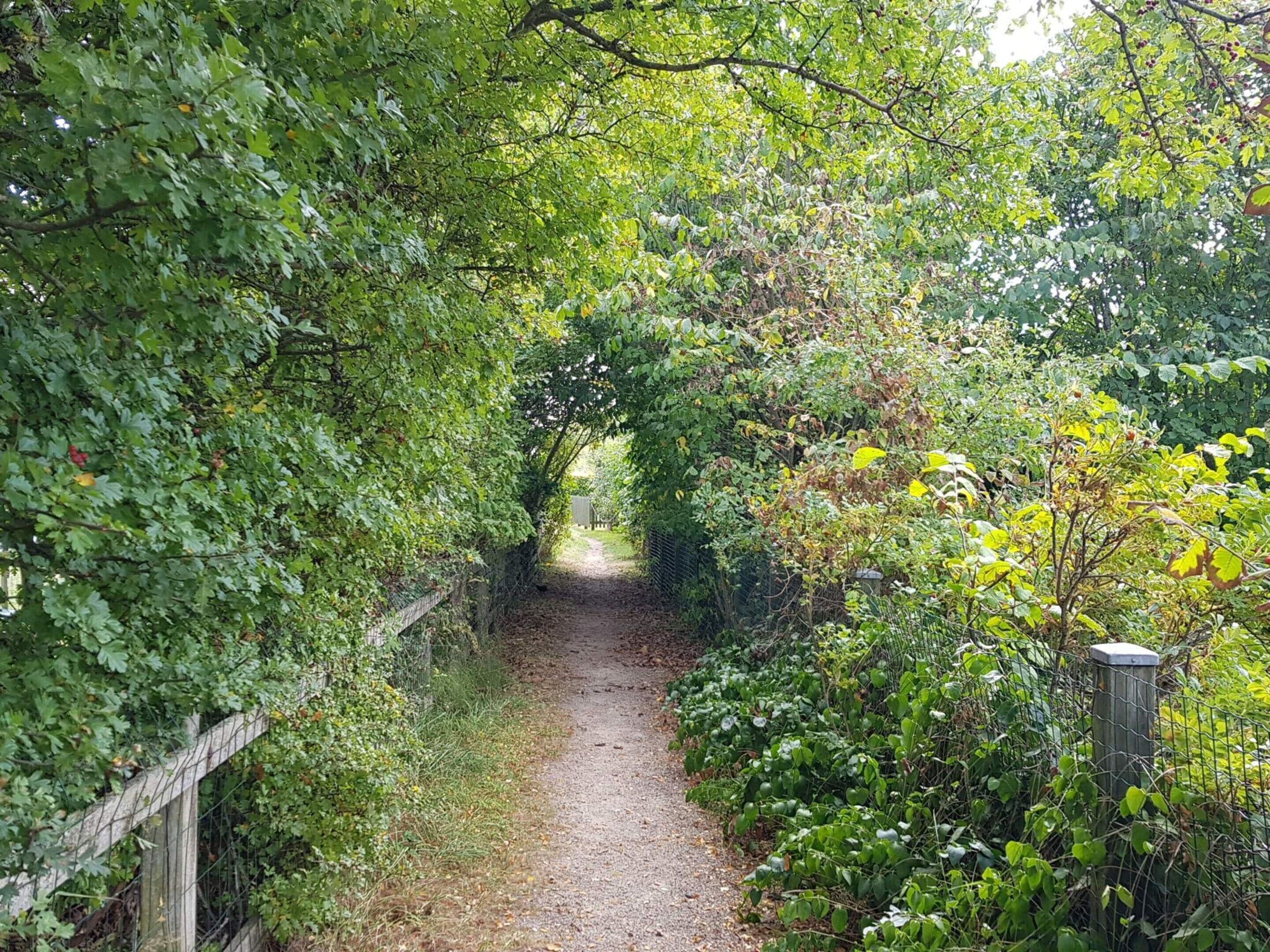 Hús | Lóð gististaðar