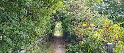 Ferienhaus | Unterkunftsgelände